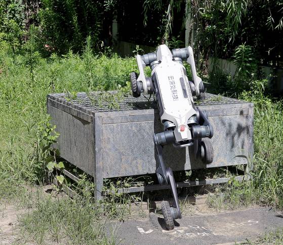 딥로보틱스의 바퀴형 4족 로봇 링스(Lynx)가 80㎝ 높이의 장애물에 올라서고 있다. 장진영 기자