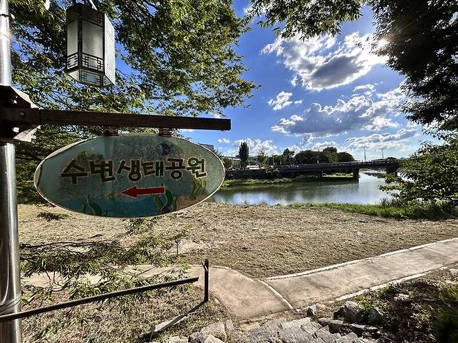 전북환경운동연합은 지난 27일 전주시가 한벽당 인근 전주천 수변의 갈대와 물억새를 베어내 천연기념물 서식지가 훼손됐다고 밝혔다. 전북환경운동연합 제공