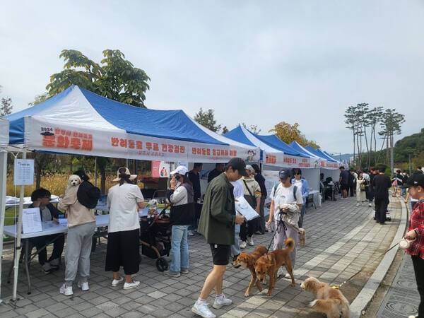 반려동물 문화축제. 양주시 제공