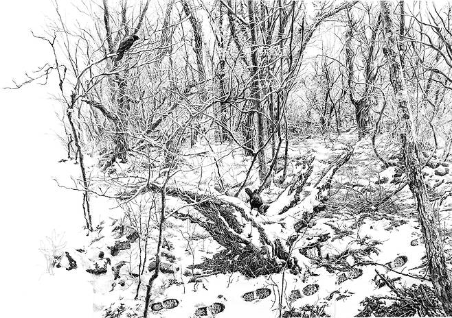 김영화, 그 겨울로부터1, 종이에 펜 112x300 cm(3폭), 2024