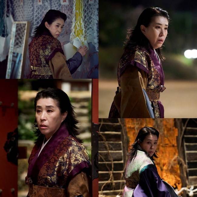 tvN ‘견우와 선녀’ 제공