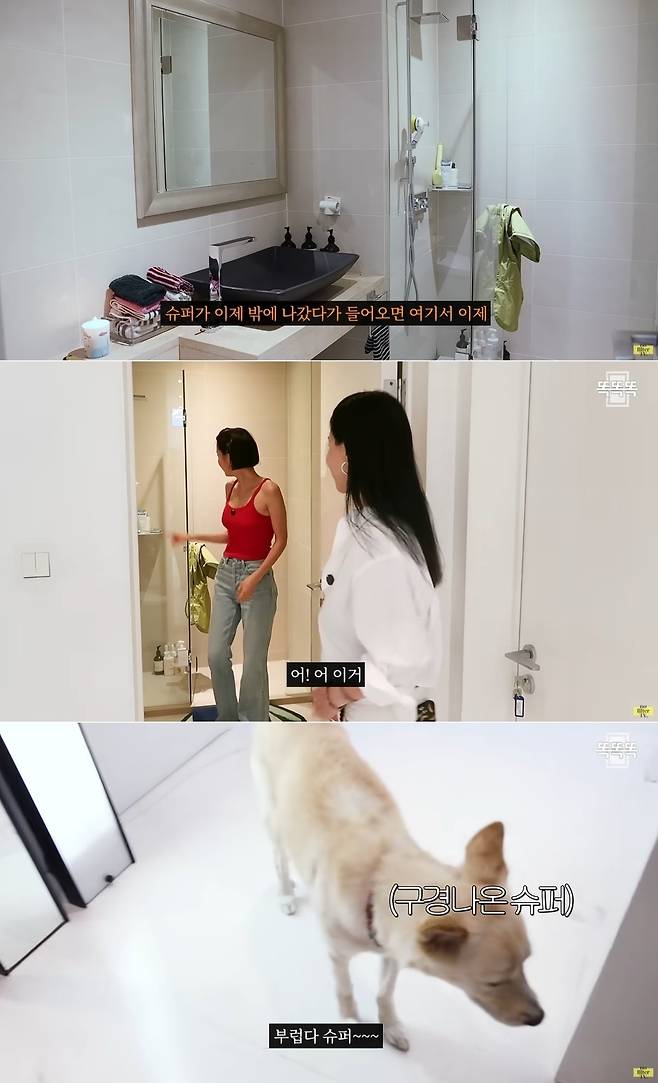 채널 ‘노필터티비’ 영상 캡처