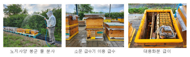 폭염 기간 벌통 관리 요령. 농촌진흥청