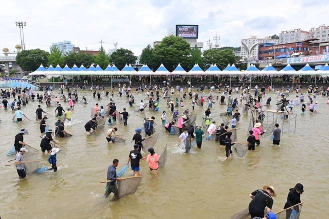 2024년도 봉화군 내성천에서 열린 봉화은어축제 모습ⓒ경북도