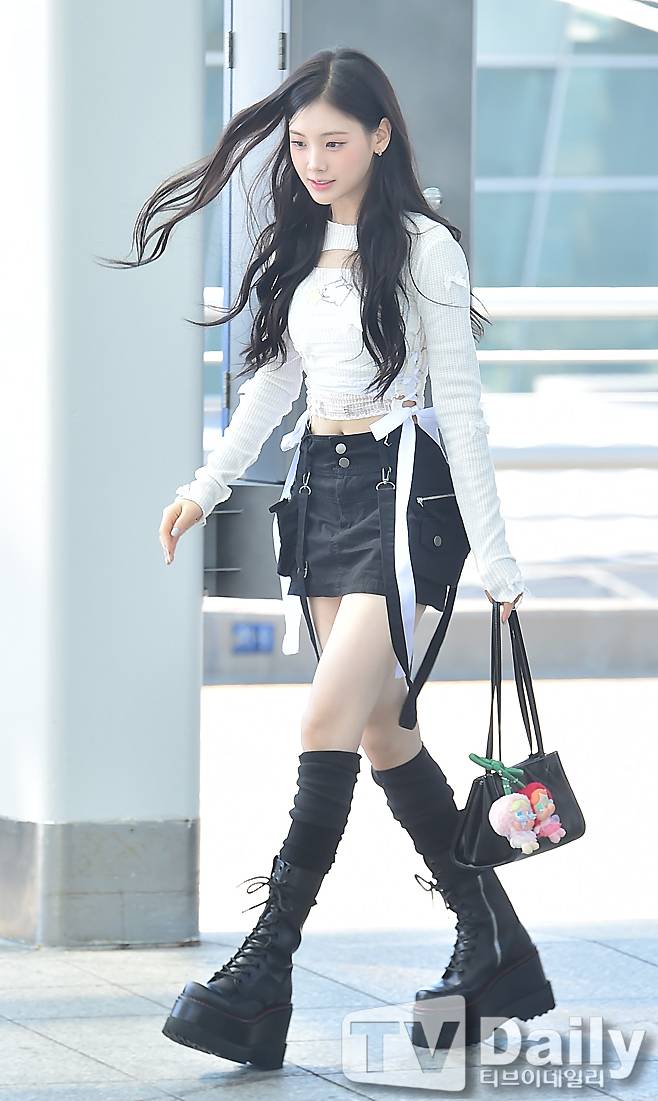 티브이데일리 포토