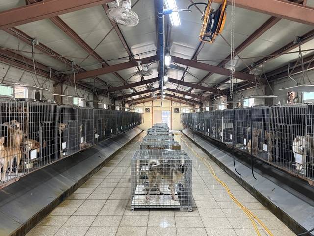 ▲ 29일 오후 4시 청주시반려동물보호센터 실내에는 선풍기 5대만 설치돼 있고, 냉난방 시설은 보이지 않는다./이용주기자