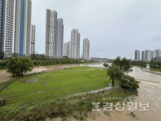 ▲ 지난 22일 많은 양의 비로 청량천이 잠겼다가 물이 빠지며 모습을 드러낸 울주 청량파크골프장 일원의 모습.
