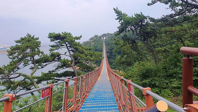 주변 풍광과 잘 어울리는 대왕암 출렁다리.