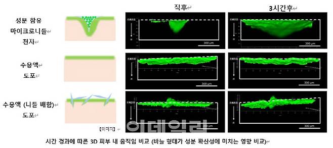 시간 경과에 따른 3D 피부 내 움직임 비교. 바늘 유무 및 바늘 형태에 따라 시간에 따른 성분 확산성이 다르게 나타났다. (자료=다이쇼제약)