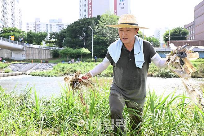 의정부시 일대 폭우가 내린 20일 직후 김 시장이 하천에 떠내려온 쓰레기를 줍고 있다.(사진=의정부시 제공)