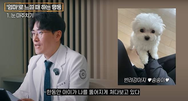 유튜브 채널 '이태호 수의사의 반려동물 진료소'는 반려견이 보호자를 ‘엄마’로 인식할 때 보이는 행동 8가지를 소개했다(유튜브 갈무리). ⓒ 뉴스1