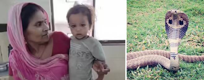 사진출처=타임스오브인디아, 픽사베이