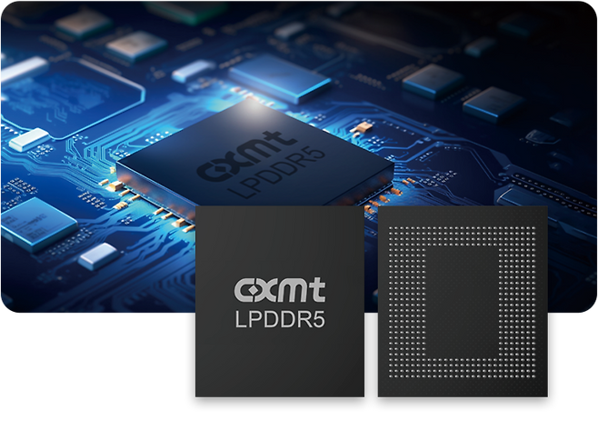 창신메모리테크놀로지(CXMT)가 출시한 LPDDR5 이미지./CXMT 홈페이지