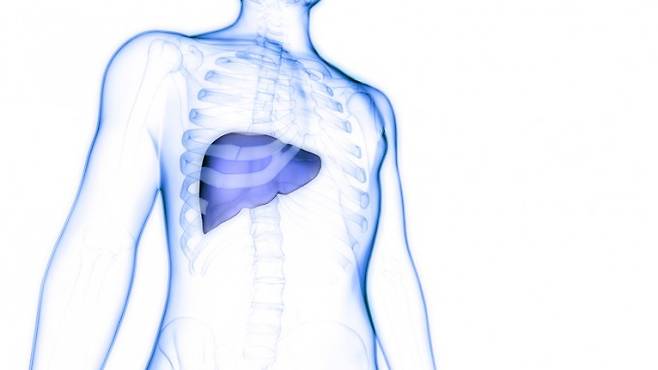 간암 발생의 60%는 예방 가능한 것으로 확인됐다. 게티이미지뱅크 제공.&nbsp;