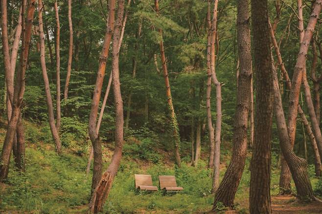 합천 오도산자연휴양림