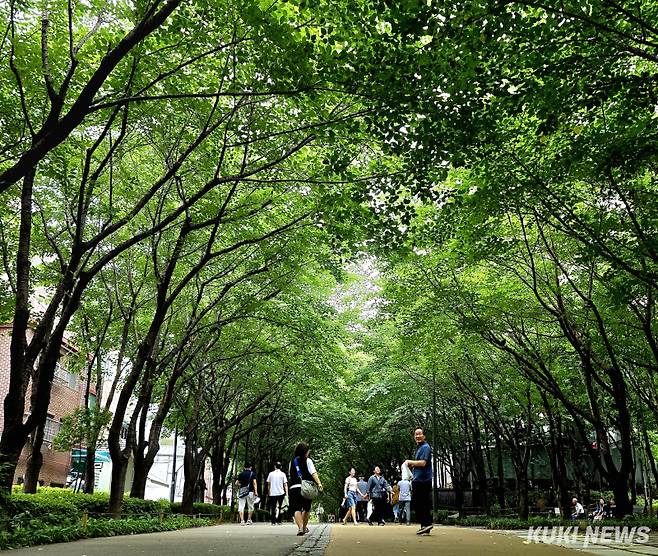 국립산림과학원이 도시숲의 기온 저감 효과를 분석한 결과 도시숲은 도심보다 평균 3도에서 7도까지 기온이 낮았다. 한낮 폭염일수(최고기온 33도 이상)를 기준으로 분석한 결과 도시숲은 2일이었던 반면 도심은 10일로 5배 차이를 보였고 열대야일수(최저기온 25도 이상)는 도시숲이 최대 5일 도심은 17일로 도시숲 지역이 약 30퍼센트 가까이 적었다.
