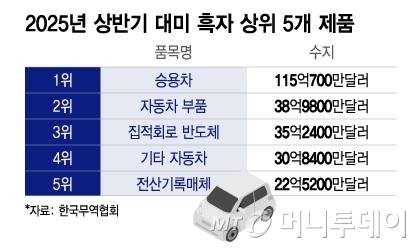 2025년 상반기 대미 흑자 상위 5개 제품/그래픽=이지혜
