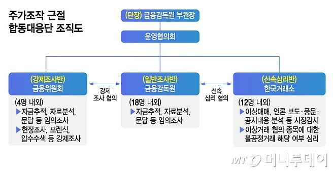 주가조작 근절 합동대응단 조직도/그래픽=김지영