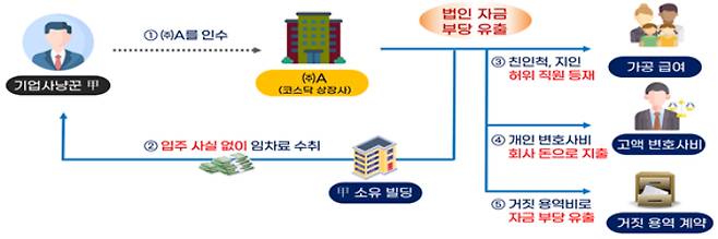 국세청 적발 혐의 사례. 국세청 제공