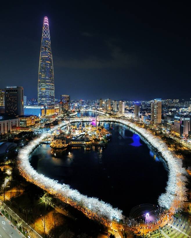 벚꽃이 핀 석촌호수의 야경. 송파구 제공