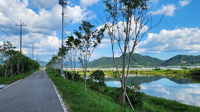 7월28일 오후 전남 화순군 도곡면 미덕마을 부근 지석천 제방도로 양쪽에 나무들이 식재돼 있다. 화순군은 2023년부터 지난해까지 지석천 제방 3㎞에 수령 10년 가량 이팝나무, 팽나무 등 약 800그루의 나무를 영산강유역환경청의 허가 없이 심어 말썽이 되고 있다. ⓒ시사저널 정성환