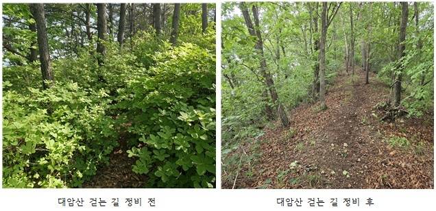 양구군 대암산 걷는 길 정비 전·후 비교 [양구군 제공. 재판매 및 DB 금지]