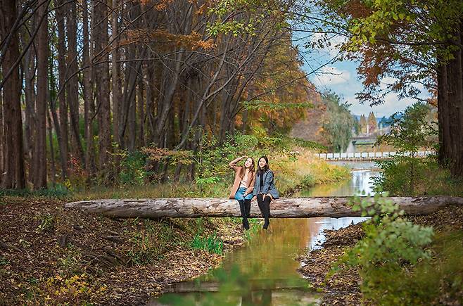 경북 천년 숲 정원 모습. /경주시 제공