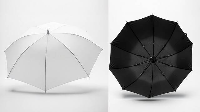 겉면: 흰색, 안감: 검은색｜출처: Gemini