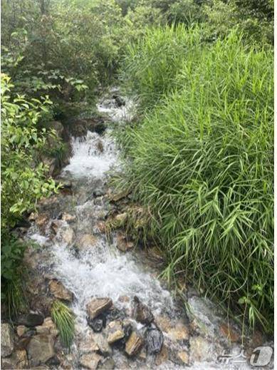 생활권도시숲연구센터 연구진의 조사지 중 한 곳인 강원도 평창군 대화면 하안미리 산153(산림청 국립산림과학원 제공.재판매 및 DB금지)/뉴스1 >