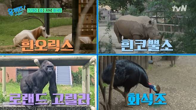 '유퀴즈' 국내 유일 '동물 영양사' 송태욱, 2000마리 삼시세끼의 비밀을 밝히다