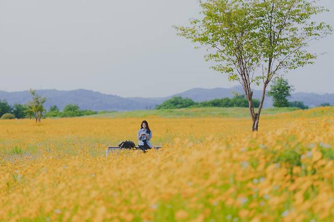 채널A 새 토일드라마 ‘여행을 대신해 드립니다’의 한 장면. 채널A 제공