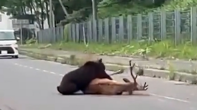 출처=유튜브(uhb1980)