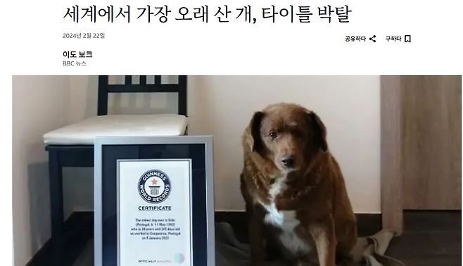 image.png 포텐간 31살 강아지 가장 최신 근황