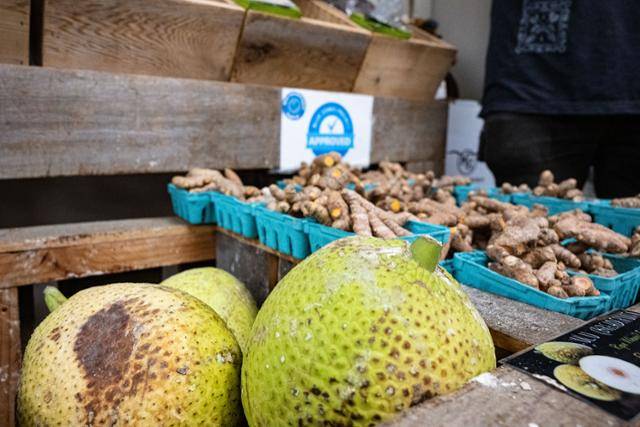 돌기를 제거한 울루가 채소 매대에 놓여 있다. 오아후=이한호 기자