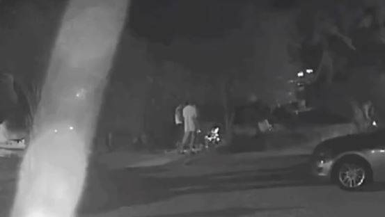 경남 거제에서 현역 해병대 군인 2명이 마당에 묶인 개 4마리에게 무차별적으로 '비비탄 총'을 쏴 경찰 조사를 받고 있다. 사진은 강아지들에게 비비탄을 쏘고 있는 남성들. [사진=비글구조네트워크 인스타그램]