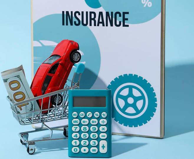 출처=엔바토엘리먼츠