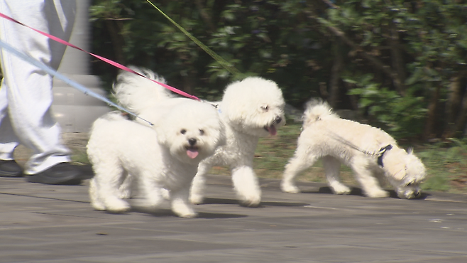 사진은 기사 내용과 관련 없음