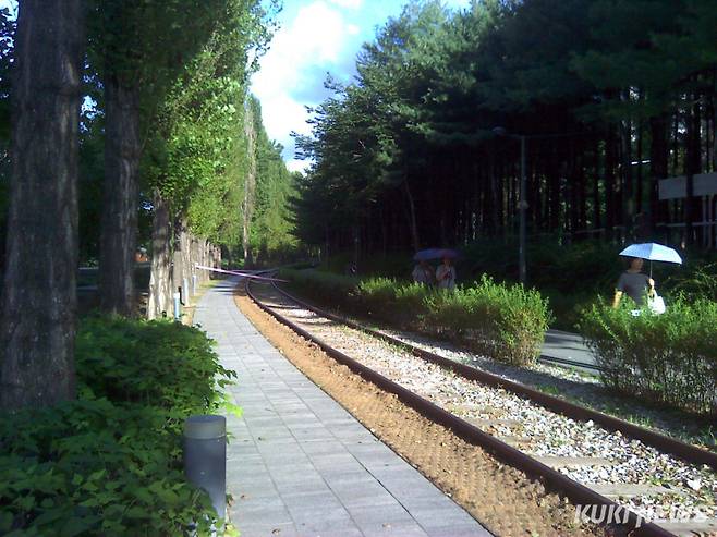 경춘선 '바람길숲'과거 서울에서 춘천을 잇는 경춘선 선로가 재탄생한 경춘선숲길은 약 5km의 구간으로 노원구 월계동에서 공릉동을 연결하는 철도공원이다. 폐선로를 따라 활엽수와 침엽수가 길게 조성되어 있어 바람길의 역할을 하고 나무들은 도시의 차량이 쏟아내는 탄소를 흡수한다. 바람길숲은 도심을 가로지르는 생태고속도로이다.