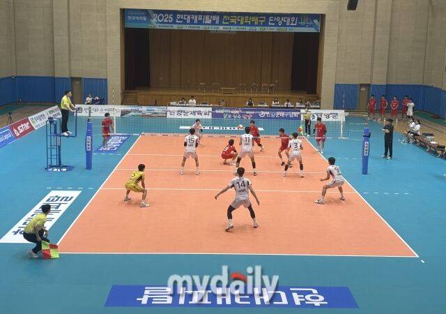 경기가 한창인 단양대회 1일차 현장./단양=김희수 기자