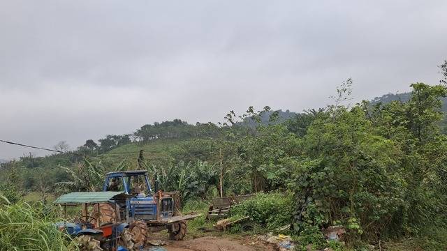 베트남 중앙고원지역에 조성된 커피 농장.