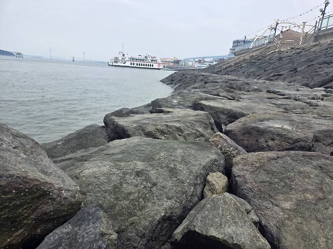 ▲ 31일 바다를 가까이서 볼 수 있는 인천 중구 월미도 친수공간의 돌들에 이끼가 끼어있다.