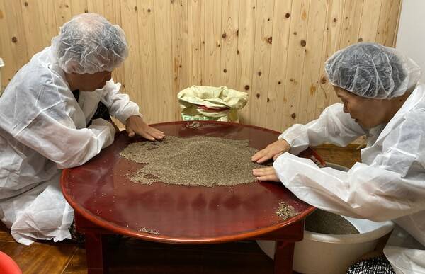 출자자이면서 직원인 마을 어르신들이 들깨를 꼼꼼히 검수하고 있다. /유은상 기자