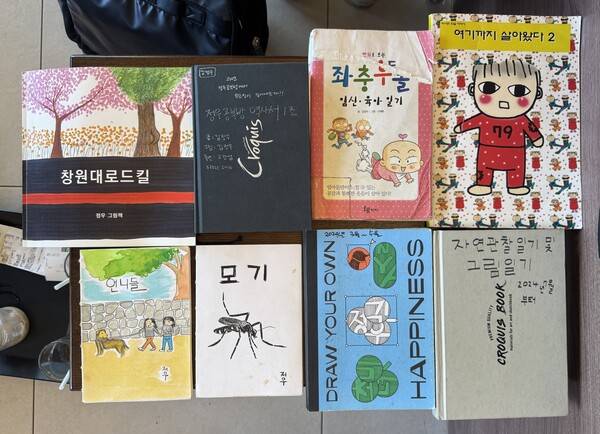 김정우 씨가 그린 그림과 만화로 만들어진 책자들. /이서후 기자&nbsp;