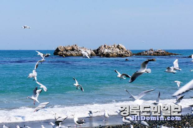 봉길대왕암 해변
