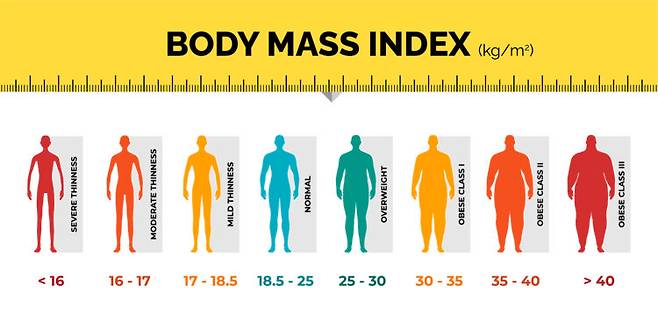 BMI에 따른 비만 기준. 통상 18.5~25가 정상, 25~30이 과체중, 30~35는 1단계 비만, 35~40는 2단계 비만, 40 이상은 3단계 비만으로 규정한다. 나라와 시기별로 조금씩 차이가 있다. [사진=게티이미지뱅크]