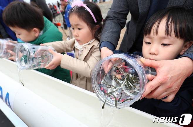 양양 남대천 어린연어 방류행사.(뉴스1 DB)