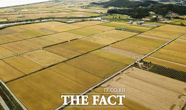 정부가 쌀 초과생산이 원천적으로 발생하지 않도록 선제적 수급정책을 제도화한다. 과잉 생산을 최소화해 사후 매입에 들어가는 예산도 줄어들 것으로 보인다../더팩트DB