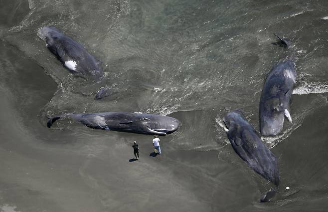 도쿄 교도=연합뉴스