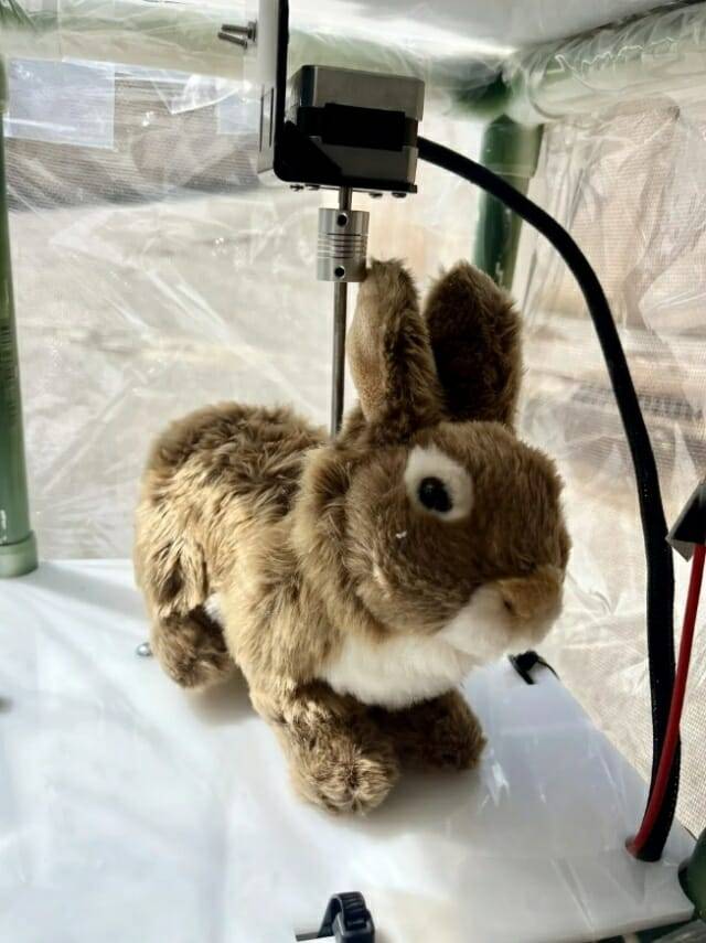 미국 플로리다 대학교 연구진이 히터를 장착해 토끼의 체온을 유지하는 로봇 토끼를 개발했다. 이 토끼는 버마 비단뱀 유인에 사용될 예정이다. (사진=플로리다대학 로보트 맥클리)
