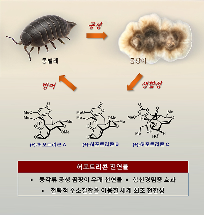 연구 핵심내용 요약. KAIST 제공